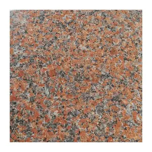 Wholesale Tian Red Granite Floor Tiles Natural Stone Paving Tiles Customized Size Wall Granite Slabs