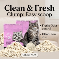 OEM Pasir Kucing Tofu Alami Cepat Menggumpal Dapat Dibuang di Toilet Biodegradable Bebas Debu Pengontrol Bau untuk Rumah Tangga dengan Banyak Kucing