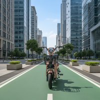 Vélo de route électrique populaire pour adultes, moteur de moyeu arrière, batterie au lithium, cadre en alliage d'aluminium, moteur sans balais, léger, 21 vitesses
