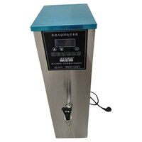 Chauffe-eau électrique automatique à haute capacité 80L/H en acier inoxydable, type comptoir, pour la restauration hôtelière