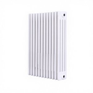 Radiatore in <span class=keywords><strong>Acciaio</strong></span> a Basso Tenore di Carbonio Modello Gz2-3-4-5, Design Moderno a Doppio Strato, Anticorrosione, Saldatura Senza Giunture, per Uso Domestico - Product Image 1