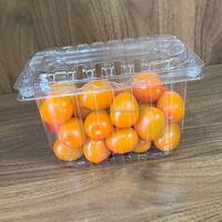 Boîtes à légumes jetables en PET transparent, emballages en plastique ventilés pour fruits frais de 500g/1kg
