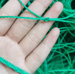 Lớn Nhựa HDPE Nhà Máy Hỗ Trợ Trellis <span class=keywords><strong>Net</strong></span> Cho Dưa Leo 6 Năm Dịch Vụ Cuộc Sống Bò Leo Núi <span class=keywords><strong>Net</strong></span> Nông Nghiệp Nhà Kính - Product Image 4