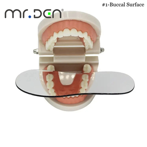 Set di 5 Specchietti Ortodontici Mr.Den, Specchi Bifacciali, Strumenti Dentali per Terapia Orale, Accessori Certificati CE - Product Image 5