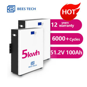 Pilas ifepo4 de 5kw, 51,2 V, 51,2 V, 51,2 V, 100Ah - Product Image 1