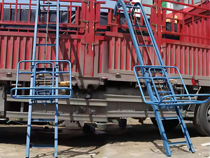 เครื่องยกขนส่งเมล็ดพืชแบบอัตโนมัติ  แบบติดตั้งบนยานพาหนะ  แบบพับเก็บได้  สำหรับการขนส่งและป้อนอาหาร - Product Image 6