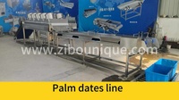 Automatische Palmdadels Droogborstelwasmachine Datum Fruitreiniging Sorteerproductielijn