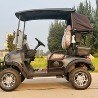 Carrito de Golf Eléctrico de 2 Plazas a Precio de Fábrica, Cumple con la Normativa LSV para EE. UU., Carrito de Golf de 2 Plazas LSV