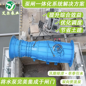 Pompe à flux axial en acier, connexion à bride électrique, basse pression, transport des eaux usées et lutte contre les inondations - Product Image 5