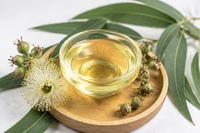 Huile d'Eucalyptus Citriodora de Qualité Cosmétique, Extrait Liquide Végétal Séché par Pulvérisation, Origine Jiangsu