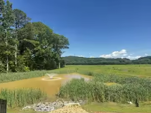 Motore a corrente continua <span class=keywords><strong>SFB</strong></span> 1100W fontana galleggiante aeratore di ossigeno galleggiante pompa ad acqua aeratore per pesci stagno allevamento senza pannello solare - Product Image 3