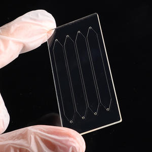 Chips Microfluídicos para Generación de Gotas con Geometrías Personalizadas para dPCR, Encapsulación y Detección - Product Image 1