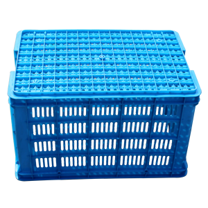 Contenitori in Plastica Impilabili Extra Spessi e Resistenti Huidu NEXARA HDEP XS700 per Logistica di Trasporto Frutta e Verdura - Product Image 2