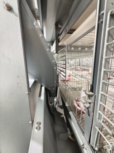Cage à poussins de type H avec machine <span class=keywords><strong>d</strong></span>'alimentation automatique pour salle <span class=keywords><strong>d</strong></span>'élevage - Product Image 5