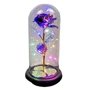 New Artificial Eternal Rose LED Light Beauty The Beast In Glass Gold Foil Flower regalo di san valentino Fairy Lights arredamento camera da letto