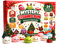 Calendrier de l'Avent Squishy de Noël 24 Jours, Mini Jouets TPR, Coffret Cadeau Surprise Compte à Rebours pour Enfants