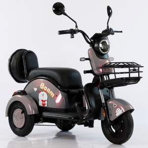 Electric Bicycle Three Wheel Three Wheel Electric Bicycle Electric Tricycle for Adults Adult - Product Image 5