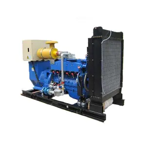 Tùy chỉnh 100kva Máy phát điện khí đặt LPG/Biogas/khí đốt tự nhiên Máy phát điện đặt 80kw LPG Máy phát điện khí