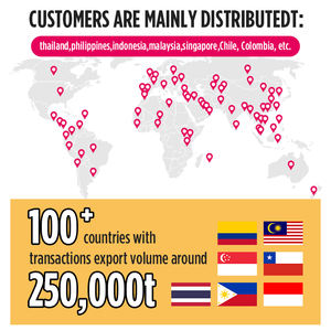 BSCI厂家直销块状膨润土猫砂 - Product Image 5