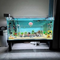 Aquarium et enclos transparent en acrylique pour chat, style tunnel, avec fonction de terrassement