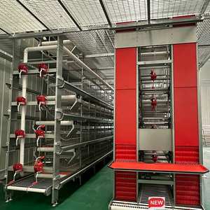 Cotización de Proyecto: <span class=keywords><strong>Jaula</strong></span> para Gallinas a Prueba de Óxido, <span class=keywords><strong>Jaula</strong></span> de Batería, Alojamiento para Gallinas Ponedoras, Granja <span class=keywords><strong>Ganadera</strong></span> - Product Image 1