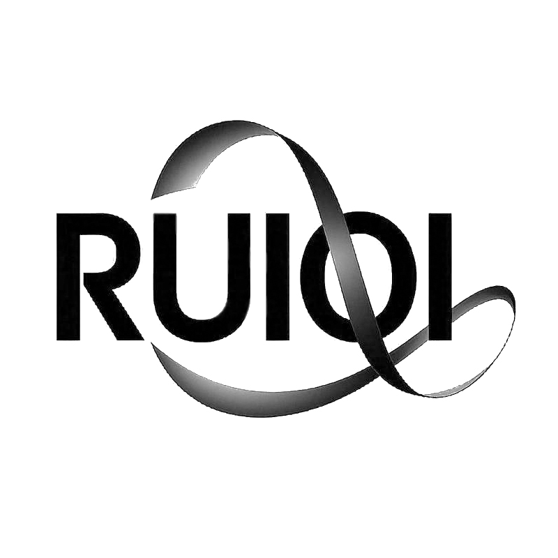 Ruian Ruiqi Auto Parts Co., Ltd. logo