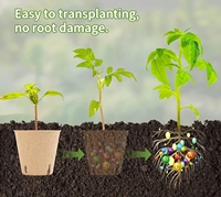 3.1 Pots de tourbe avec étiquettes végétales biodégradables pour semis avec trous de drainage Pots de pépinière de plantes de jardin Plateaux de départ de semences