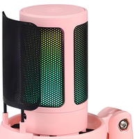 Microphone USB à condensateur pour jeux avec trépied, filtre anti-pop et éclairage RGB pour PC de bureau et streaming. Historique de navigation.