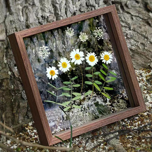 Hoa Khô ép Khung Hoa ba chiều hai mặt kính trong suốt mẫu vật Tự Làm thiết lập bàn sáng tạo - Product Image 3