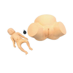Yilian продвинутая модель обучения дистоции, симулятор акушерской помощи из ПВХ для трудных родов, демонстрационное обучение акушерству - Product Image 4