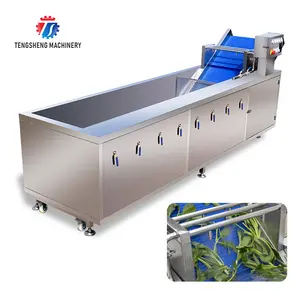 Bán Hot 1500 Kg/giờ Orange Lemon Apple Strawberry Pear Ozone Khử Trùng Bong Bóng Máy Giặt