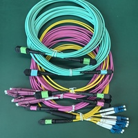 Cable de Fibra Óptica MPO de 5 Metros del Fabricante, Tipo B, Cable de Conexión MTP, 12F OM3, 3.0MM, LSZH, Certificado CE, Garantía de 5 Años para Redes Interiores