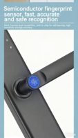 Serrure de Porte Intelligente OEM ODM Nouveau Design Vente en Gros Usine pour Hôtels Appartements Tuya Déverrouillage Numérique NFC Empreinte Digitale Données Cloud WIFI