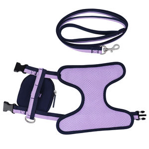 Accesorios Multifuncionales y Cómodos para Mascotas de Vietnam, Transportines de Nailon con Botones a Presión y Estampados Personalizados - Product Image 4