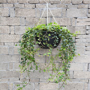Ronbo Sunrise – Pots ronds <span class=keywords><strong>en</strong></span> <span class=keywords><strong>plastique</strong></span> pour plantes de jardin de 14/15 pouces, panier suspendu, jardinière, offre spéciale - Product Image 3