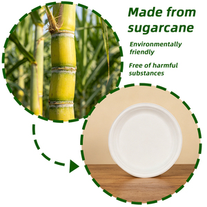 จานชานอ้อยขนาด 9 นิ้ว สำหรับอาหารร้อน เหมาะสำหรับงานจัดเลี้ยง - Product Image 6
