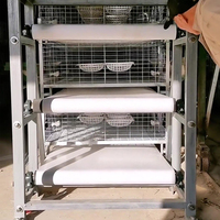 Système de Convoyeur de Fumier à Manivelle pour Cage à Poulets Multi-Niveaux, Machine de Nettoyage de Fumier Durable pour l'Élevage de Volailles