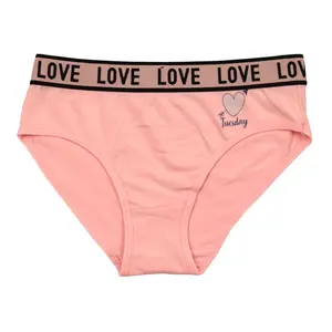 Wholesale Underwear Women, Private Label Webbing Used Panties for Women, Spandex / Cotton Comfortable Daily Bikini Celana Dalam