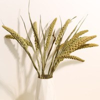 Rumput Kering Setaria Italica (Foxtail Millet) Alami untuk Dekorasi Vas Rumah Bergaya Rustic