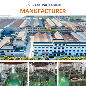 Impianto Automatico Chiavi in Mano per Riempimento Bevande con Controllo PLC, 1 Anno di Garanzia, Fornitura Diretta dalla Fabbrica Affidabile - Product Image 4