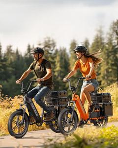 Vélo <span class=keywords><strong>cargo</strong></span> électrique de ville HovCart avec stock en entrepôt <span class=keywords><strong>allemand</strong></span> (UE/US/AU) pour deux enfants avec siège de protection, capteur de couple et pneus larges - Product Image 5
