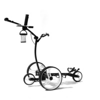 Chariot de golf électrique au lithium à haut degré personnalisé en Chine avec télécommande