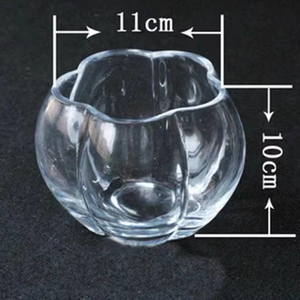 <span class=keywords><strong>Vaso</strong></span> <span class=keywords><strong>di</strong></span> <span class=keywords><strong>zucca</strong></span> personalizzato fiore idroponico verde aneto vetro trasparente <span class=keywords><strong>vaso</strong></span> <span class=keywords><strong>di</strong></span> vetro pianta terrario da tavolo <span class=keywords><strong>vaso</strong></span> - Product Image 3