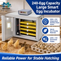 Incubateur entièrement automatique pour 240 œufs avec double alimentation et rotation à 360° en acier inoxydable 24 kg pour l'élevage de volailles OEM/ODM