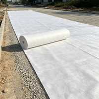 Géotextile en PET à longs fibres non tissées, résistant aux perforations (plus de 2,5 kN CBR), utilisé pour le drainage souterrain et la séparation des couches de sol dans les pavés.
