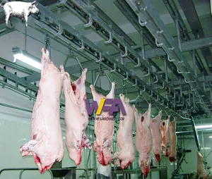 Máquina de matadero de cerdo, solución completa para transporte de carcasas y tienda