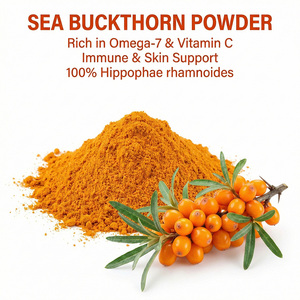 สารสกัดจากผลซีบัคธอร์นธรรมชาติ ปริมาณสูง ฟลาโวนอยด์จากซีบัคธอร์น วิตามินซี อาหารเสริมเพื่อสุขภาพ ชนิดผง วัตถุดิบเกรดอาหาร - Product Image 1