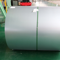Bobine d'acier galvanisé à chaud prix usine, revêtement Z61-Z80, épaisseur 0,12-0,2 mm, largeur 1000 mm, tôles industrielles prédécoupées