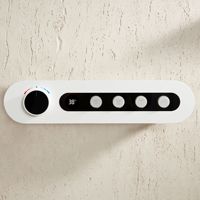 Ensemble de douche mural en laiton massif au design minimaliste moderne avec rangement intégré, installation dissimulée et contrôle thermostatique doux