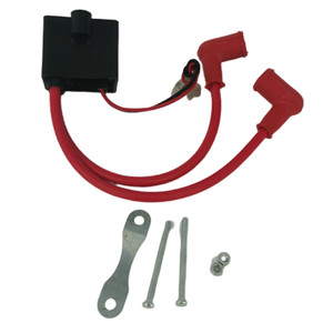 Esum xe đạp kép CDI cuộn dây đánh lửa cho hai bugi <span class=keywords><strong>2</strong></span> đột quỵ 100cc động cơ xe đạp động cơ Kit động cơ LD100 - Product Image 4